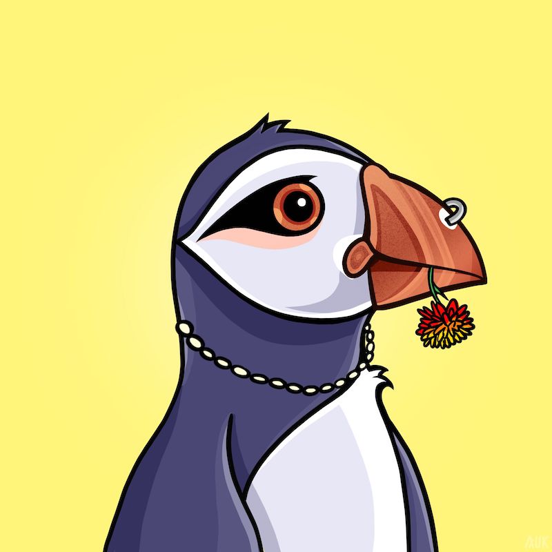 Poppin Puffins #6231